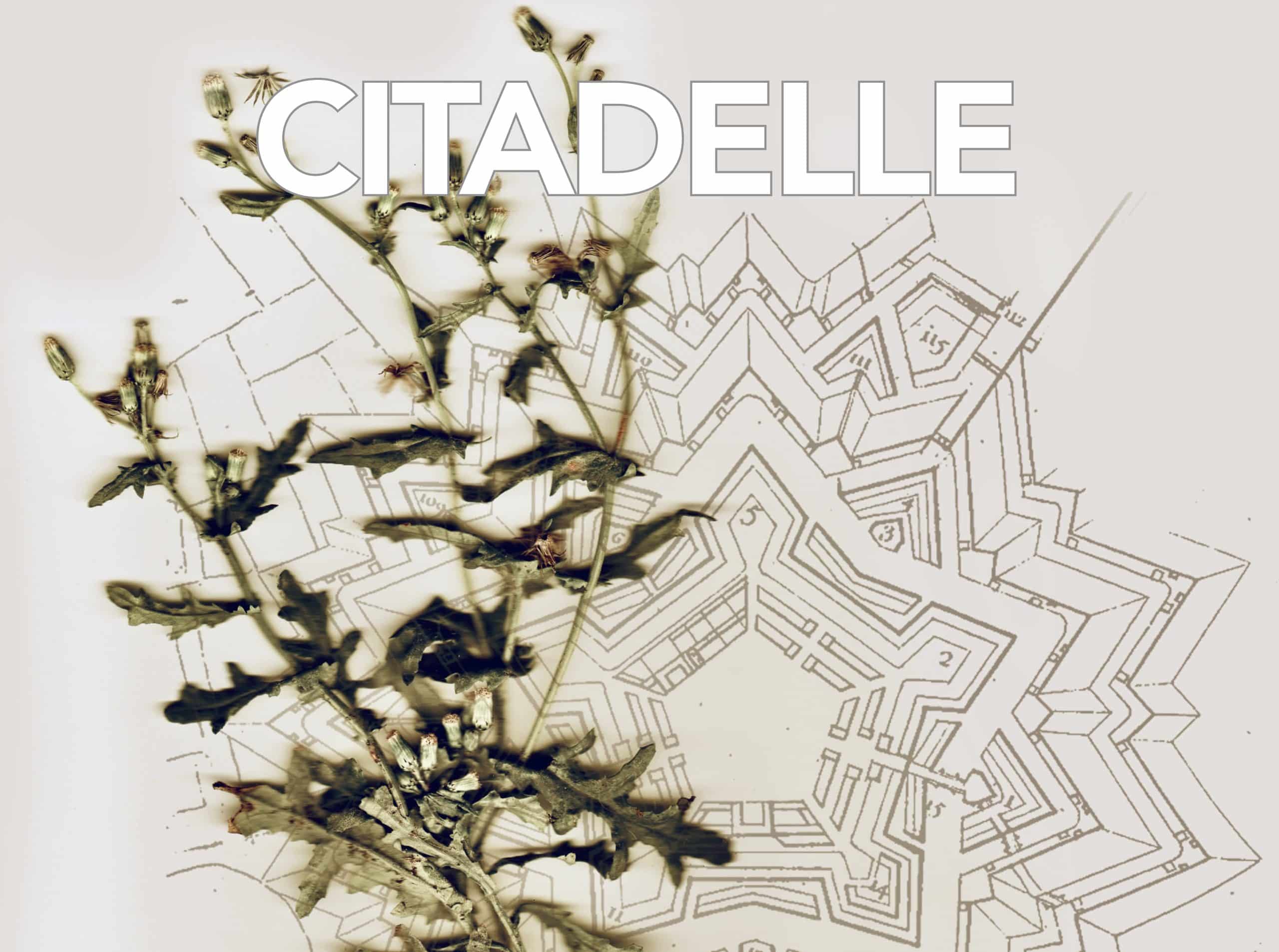 Citadelle